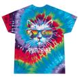 Lgbtq Pride Flag Cat Vintage Pride Month Tie-Dye T-shirts Festival Tie-Dye