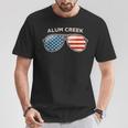 Alum Creek Wv Vintage Us Flag Sunglasses T-Shirt Unique Gifts