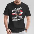 Austria ienna Flag Costume T-Shirt Lustige Geschenke