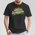 Dungeons & Dragons Here For The Shenanigans St Patrick's T-Shirt Funny Gifts