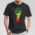 Fano Fist With The Ethiopian Flag T-Shirt Unique Gifts