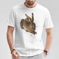Albrecht Durer Young Rabbit Gray S T-Shirt Lustige Geschenke