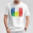 France Senegal Flags Half Senegalese French Roots Vintage T-Shirt Unique Gifts