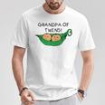 Two Peas In A Pod Grandpa Of Twins T-Shirt Unique Gifts