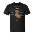 Anatomy Of A Dachshund Badger Dog T-Shirt