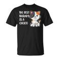 The Best Therapy Is A Calico Cat T-Shirt