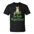 Cat So Irish Right Meow St Patrick’S Day T-Shirt