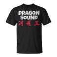 Dragon Sound Chinese Japanese Distressed T-Shirt