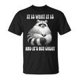 It Is What It Is And Its Not Great Racoon Vintage Meme T-Shirt