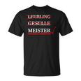 Passed Meistertestung Passed Exam Meister T-Shirt