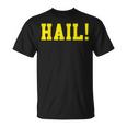 State Of Michigan Hail U M Ann Arbor Mi Aa T-Shirt