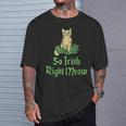 Cat So Irish Right Meow St Patrick’S Day T-Shirt Gifts for Him