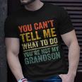 Grandpa For Grandfather Papa Dad Poppy Papi T-Shirt Gifts for Him