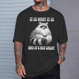 It Is What It Is And Its Not Great Racoon Vintage Meme T-Shirt Gifts for Him