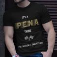 Pena Last Name Family Names T-Shirt Gifts for Him