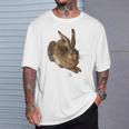 Albrecht Durer Young Rabbit Gray S T-Shirt Geschenke für Ihn
