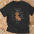 Anatomy Of A Dachshund Badger Dog T-Shirt Geschenke für alte Männer