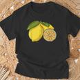 Lemon Citrus Fruit T-Shirt Geschenke für alte Männer