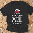 Poland Kurwa Polin Polska Polish T-Shirt Geschenke für alte Männer