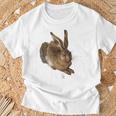 Albrecht Durer Young Rabbit Gray S T-Shirt Geschenke für alte Männer