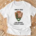 Resist Gifts, Parkinsons Disease Shirts, National Park Shirts, Smokey Shirts, Resist Shirts
